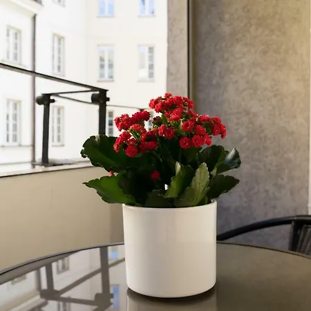 Old Town Grand Theatre 2 Апартаменты *